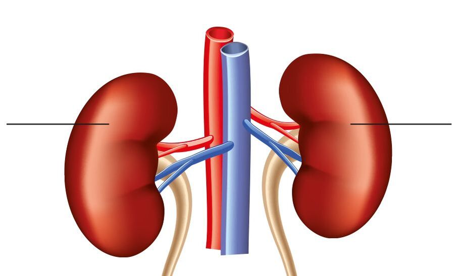 renorenal Hypertonie